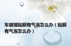 车玻璃贴膜有气泡怎么办（贴膜有气泡怎么办）