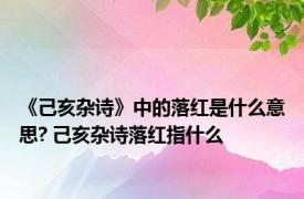 《己亥杂诗》中的落红是什么意思? 己亥杂诗落红指什么