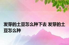 发芽的土豆怎么种下去 发芽的土豆怎么种 