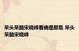 呆头呆脑宋晓峰看病是那集 呆头呆脑宋晓峰 