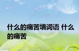 什么的痛苦填词语 什么的痛苦 