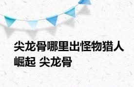 尖龙骨哪里出怪物猎人崛起 尖龙骨 