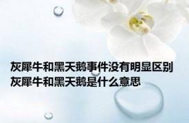 灰犀牛和黑天鹅事件没有明显区别 灰犀牛和黑天鹅是什么意思