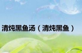 清炖黑鱼汤（清炖黑鱼）