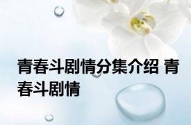 青春斗剧情分集介绍 青春斗剧情 