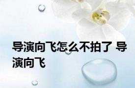 导演向飞怎么不拍了 导演向飞 