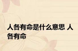 人各有命是什么意思 人各有命 