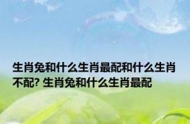 生肖兔和什么生肖最配和什么生肖不配? 生肖兔和什么生肖最配 