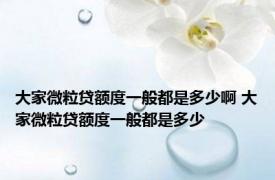 大家微粒贷额度一般都是多少啊 大家微粒贷额度一般都是多少