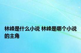 林峰是什么小说 林峰是哪个小说的主角 
