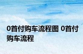 0首付购车流程图 0首付购车流程 