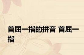 首屈一指的拼音 首屈一指 