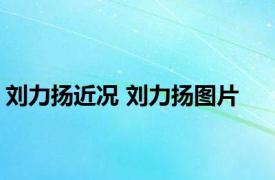 刘力扬近况 刘力扬图片 
