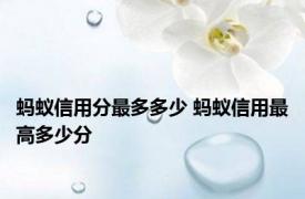 蚂蚁信用分最多多少 蚂蚁信用最高多少分