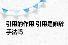 引用的作用 引用是修辞手法吗
