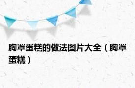 胸罩蛋糕的做法图片大全（胸罩蛋糕）