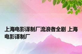 上海电影译制厂流浪者全剧 上海电影译制厂 