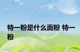 特一粉是什么面粉 特一粉 