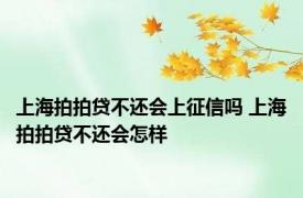上海拍拍贷不还会上征信吗 上海拍拍贷不还会怎样