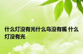 什么灯没有光什么鸟没有嘴 什么灯没有光 