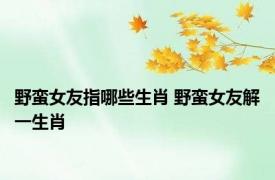 野蛮女友指哪些生肖 野蛮女友解一生肖 