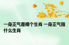 一身正气是哪个生肖 一身正气指什么生肖