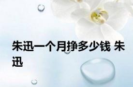 朱迅一个月挣多少钱 朱迅 