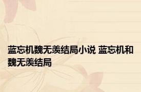 蓝忘机魏无羡结局小说 蓝忘机和魏无羡结局