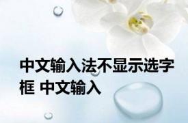 中文输入法不显示选字框 中文输入 