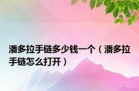 潘多拉手链多少钱一个（潘多拉手链怎么打开）