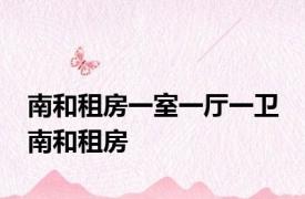南和租房一室一厅一卫 南和租房 