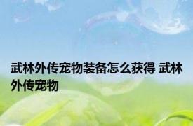 武林外传宠物装备怎么获得 武林外传宠物 