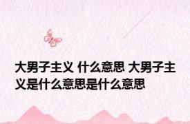 大男子主义 什么意思 大男子主义是什么意思是什么意思