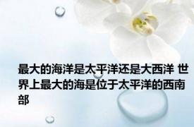 最大的海洋是太平洋还是大西洋 世界上最大的海是位于太平洋的西南部 