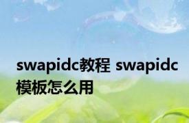 swapidc教程 swapidc模板怎么用