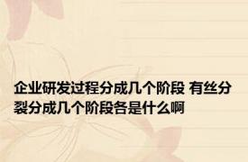 企业研发过程分成几个阶段 有丝分裂分成几个阶段各是什么啊
