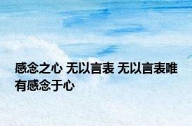 感念之心 无以言表 无以言表唯有感念于心 