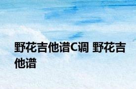 野花吉他谱C调 野花吉他谱 