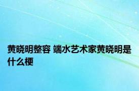 黄晓明整容 端水艺术家黄晓明是什么梗