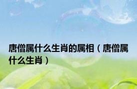 唐僧属什么生肖的属相（唐僧属什么生肖）