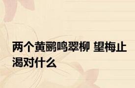 两个黄鹂鸣翠柳 望梅止渴对什么 