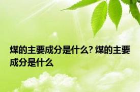 煤的主要成分是什么? 煤的主要成分是什么