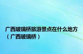 广西玻璃桥旅游景点在什么地方（广西玻璃桥）