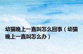 幼猫晚上一直叫怎么回事（幼猫晚上一直叫怎么办）
