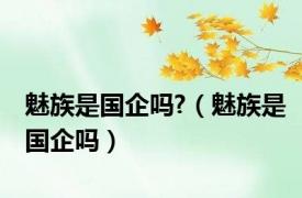 魅族是国企吗?（魅族是国企吗）