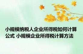 小规模纳税人企业所得税如何计算公式 小规模企业所得税计算方法 