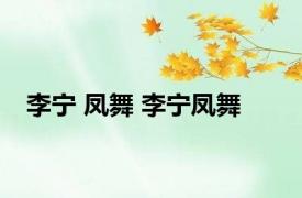 李宁 凤舞 李宁凤舞 