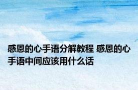 感恩的心手语分解教程 感恩的心手语中间应该用什么话