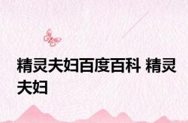 精灵夫妇百度百科 精灵夫妇 