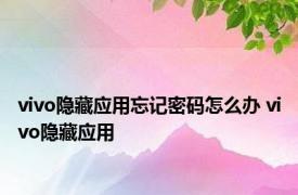 vivo隐藏应用忘记密码怎么办 vivo隐藏应用 